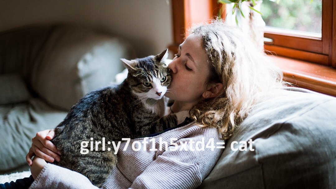 girl:y7of1h5xtd4= cat